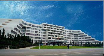 西南林业大学吃瓜网盘,揭秘校园生活新潮流