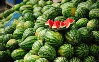 青海网红吃瓜事件真相揭秘,揭秘背后真相与争议