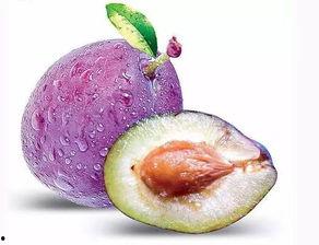 柳州红豆社区网吃瓜大师,吃瓜大师带你揭秘社区热点事件