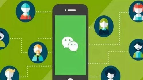 八卦网红吃瓜小程序,揭秘娱乐圈幕后故事